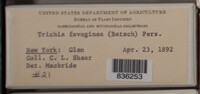 Image Associated With the Occurence